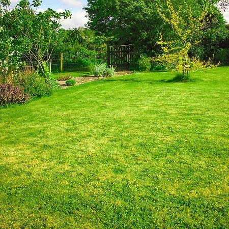 The Well Meadow B&B Nenagh Buitenkant foto
