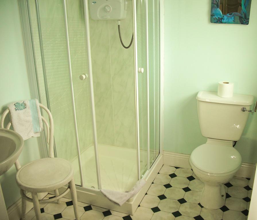 The Well Meadow B&B Nenagh Kamer foto