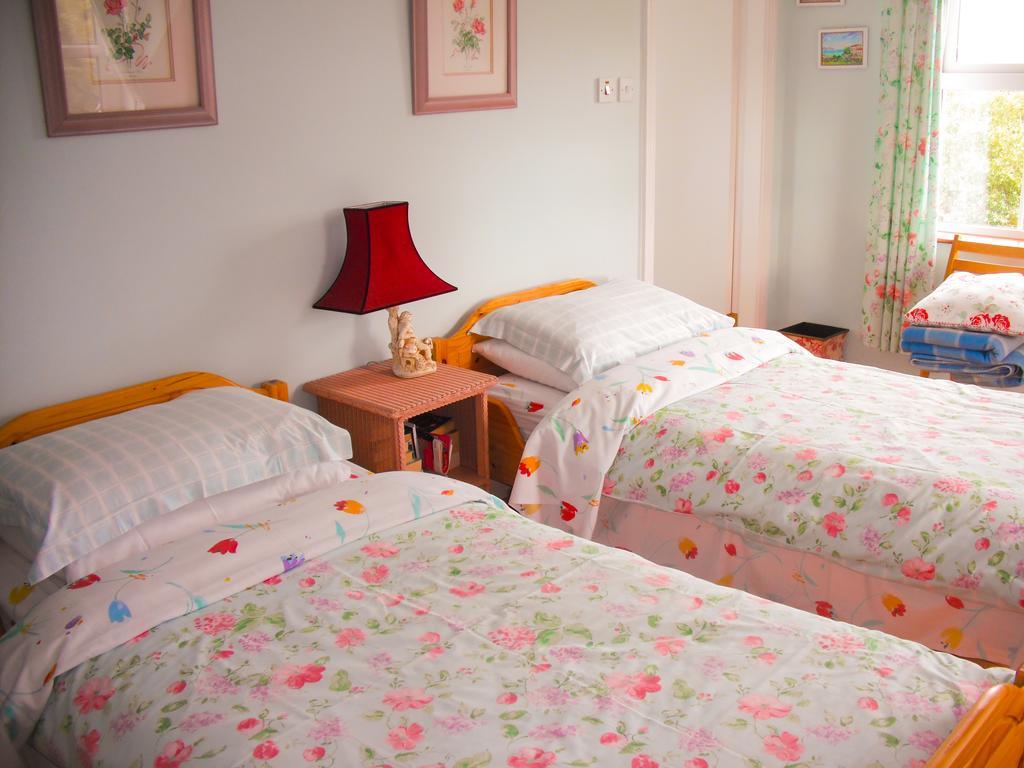The Well Meadow B&B Nenagh Kamer foto