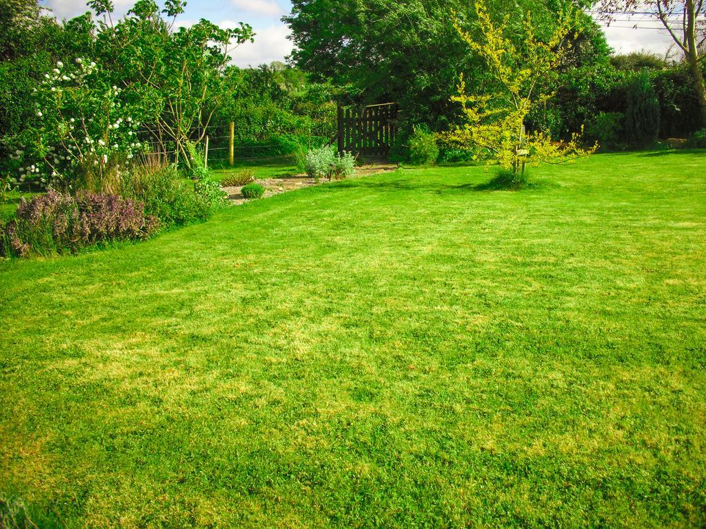 The Well Meadow B&B Nenagh Buitenkant foto