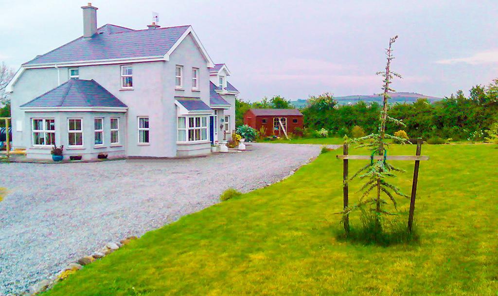 The Well Meadow B&B Nenagh Buitenkant foto