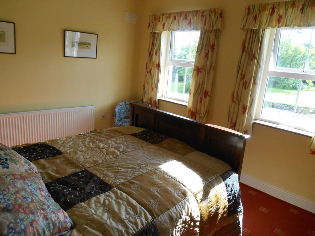 The Well Meadow B&B Nenagh Kamer foto