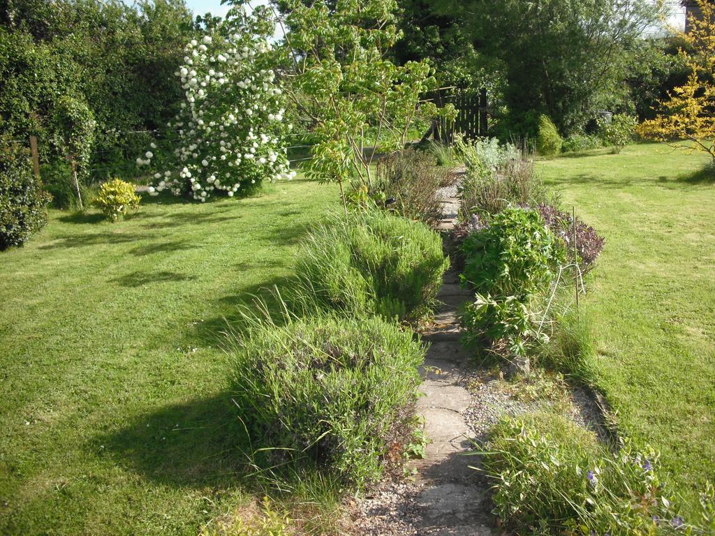 The Well Meadow B&B Nenagh Kamer foto