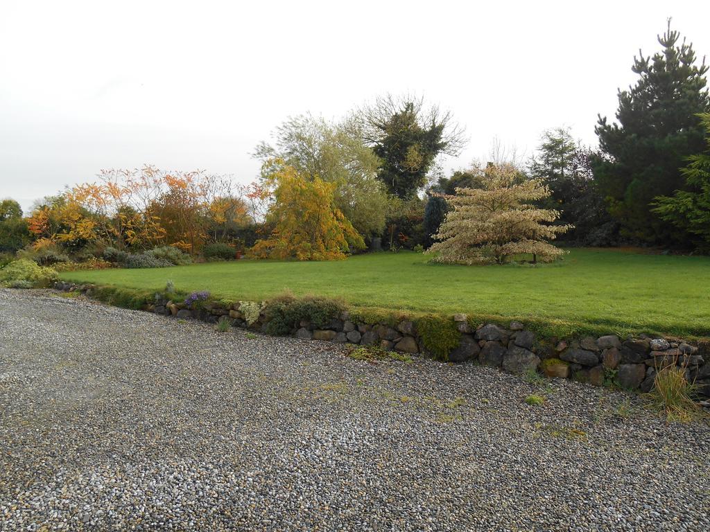 The Well Meadow B&B Nenagh Buitenkant foto